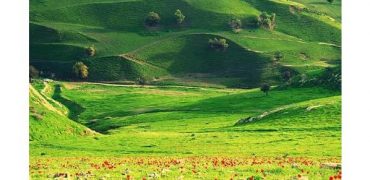 أرض للبيع قرب(دابوق/بدر) 6698م