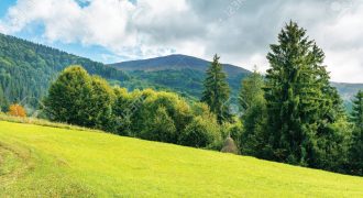 ارض في عبدون للبيع(1100م)