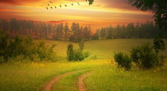 ارض للبيع في ياجوز (909م)