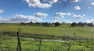 ارض في تبو نصير للبيع (503م)