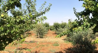 أرض للبيع ( طريق المطار1048م )