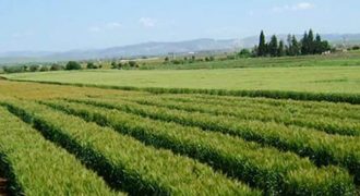 ارض مميزة في الظهير للبيع (819م)