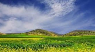 ارض للبيع في وادي السير (123دونم)