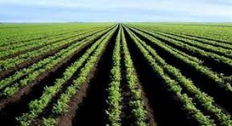 ارض في الظهير للبيع (759م)