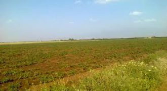 أرض في ناعور للبيع1047م