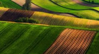 ارض للبيع(ضاحية الرشيد1050م)