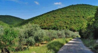 ارض مميزة في اراضي ناعور /البويضة