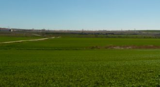 أرض للبيع ( قرب طريق المطار 979م )