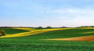 ارض تجارية في عرجان للبيع (1613م)