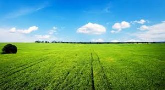 ارض في ناعور للبيع (852م)