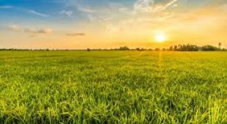 ارض في ناعور للبيع (1139م)