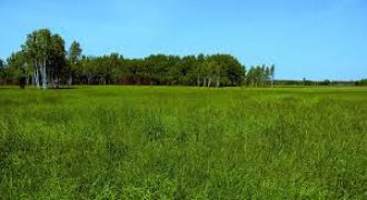 ارض في ناعور للبيع (1048م)