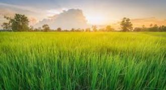 ارض في منطقة البنيات 1717م