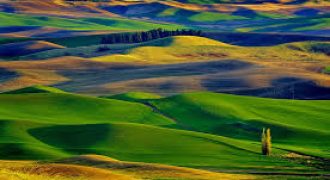 ارض في الطنيب (12386م)