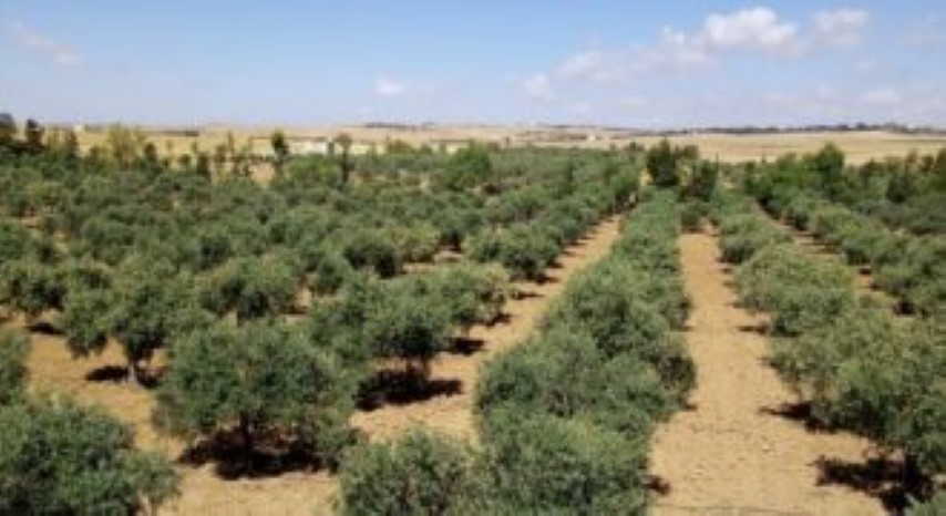 قطعه  مميزه  للبيع  في عمان / دير غبار 