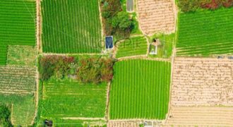 ارض مميزة في عمان صالحة للاستثمار