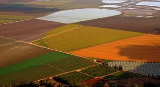 ارض مميزة في اراضي ناعور /مزرعة السامك