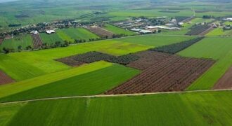 أرض في ابو نصير للبيع (502م)