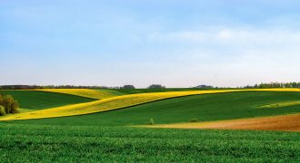 قطعة ارض مميزة للبيع في ياجوز/عين البيضاء