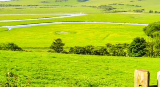 أرض في ياجوز للبيع (761م)