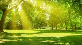 أرض في الجبيهه للبيع (779م)