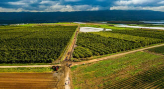 ارض للبيع في طبربور (1127م)