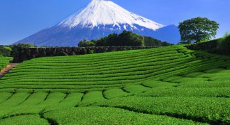 ارض مميزة للبيع في رجم عميش (633م)