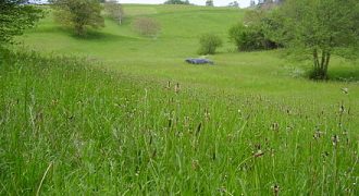 ارض في ناعور للبيع (21دونم)