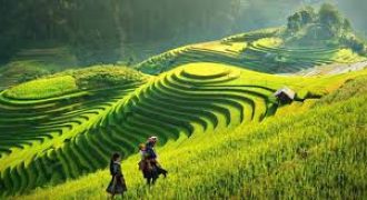 ارض في ياجوز للبيع (750م)