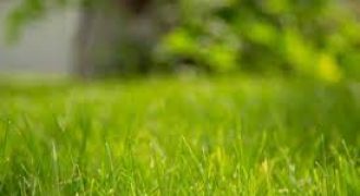 ارض في عمان منطقة رجم عميش للبيع (1439م)