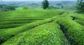 ارض في ام قصير للبيع (126 دونم)