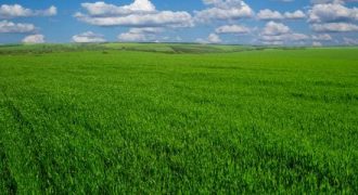 ارض في ناعور للبيع (12دونم)