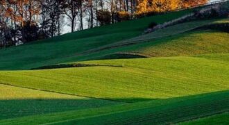 ارض مميزة في اراضي ناعور /مزرعة السامك صالحة للاستثمار