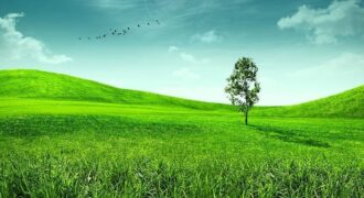 ارض مميزة في اراضي ناعور/ناعور صالحة للاستثمار