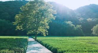 أرض مميزة في عمان صالحة للاستثمار للبيع