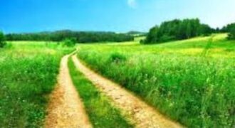 ارض مميزة في جنوب عمان /الطنيب صالحة للاستثمار