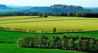 قطعة تجارية مميزة في اراضي عمان تصلح للاستثمار