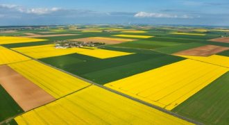 ارض مميزة للبيع في رجم عميش (751م)