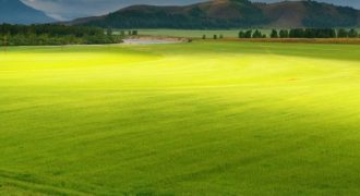 ارض مميزة للبيع في رجم عميش (1443م)