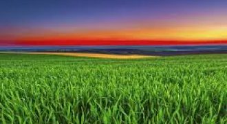 ارض مميزة للبيع في رجم عميش (855م)