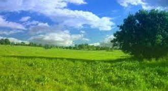 ارض مميزة للبيع في رجم عميش (874م)