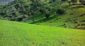 ارض مميزة للبيع ياجوز (877م)