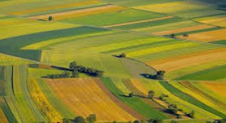 ارض مميزة للبيع في رجم عميش (1373م)