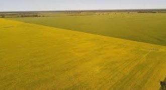 أرض للبيع مرج الحمام (860م)