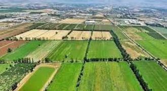 ارض في منطقة ياجوز للبيع (755م)