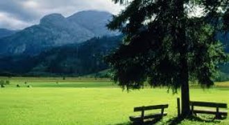 ارض في منطقة ياجوز للبيع (801م)