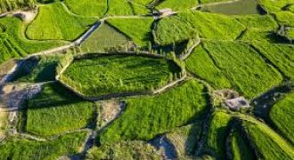 ارض في منطقة ياجوز للبيع (751)