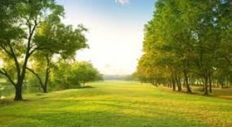 ارض في منطقة تلاع العلي للبيع (955م)