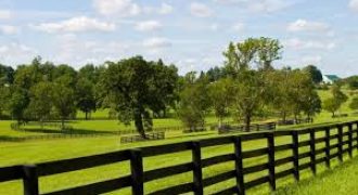 ارض مميزة في منطقة ياجوز للبيع (750م)