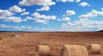 قطعة مميزة في اراضي الجنوب /الرقيم تصلح للاستثمار